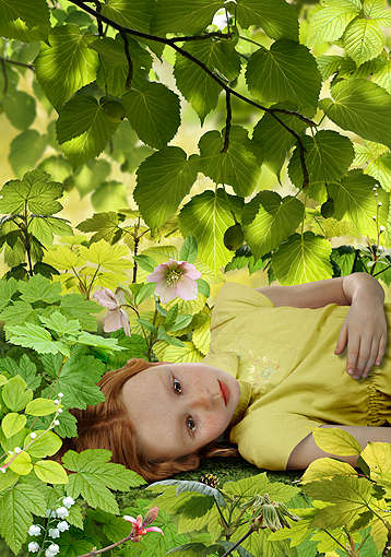 Ruud van Empel, Dawn #5, 2008