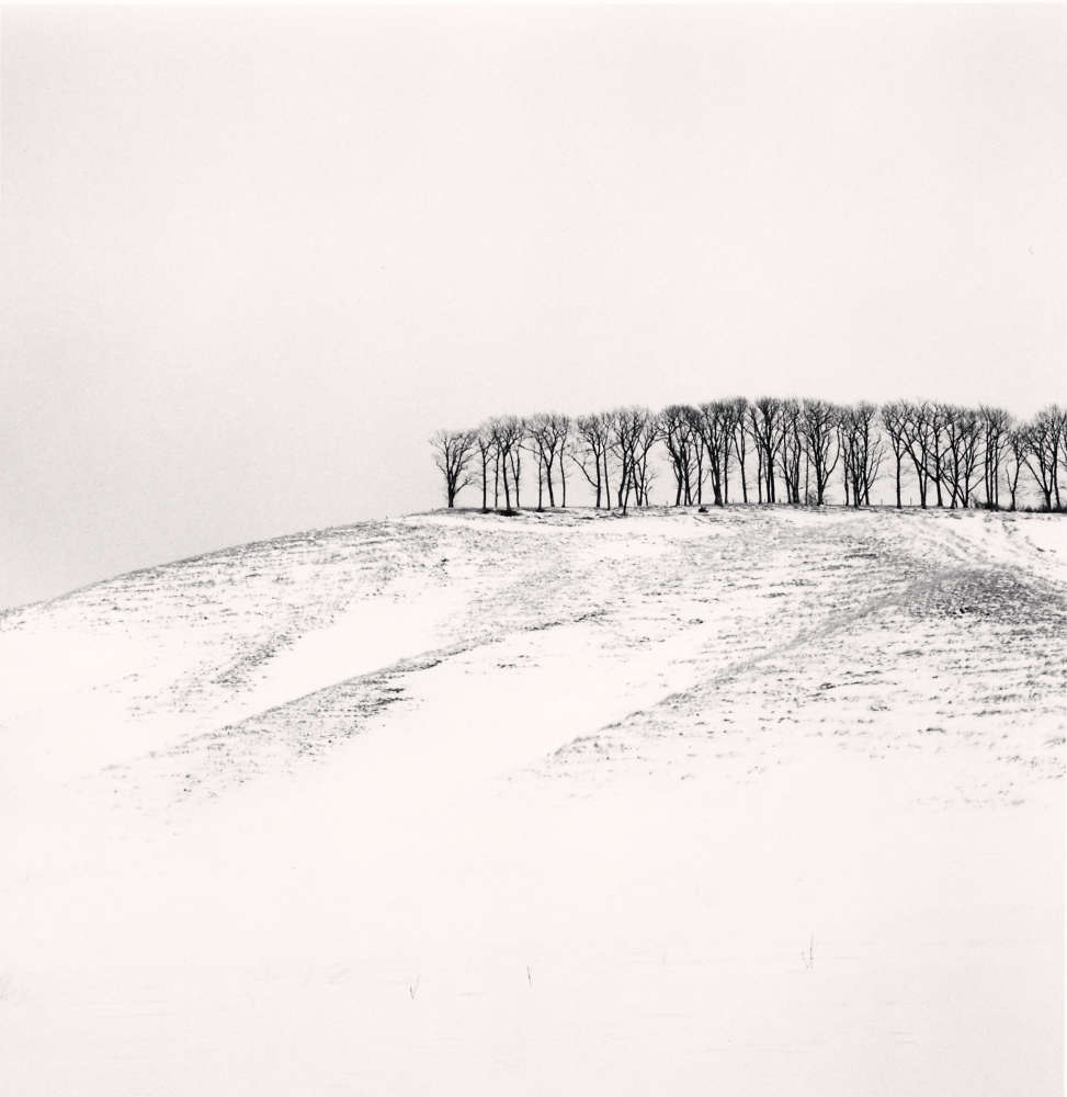 Michael Kenna, Hilltop Trees, Study 4, Teshikaga, Hokkaido, Japan, 2016