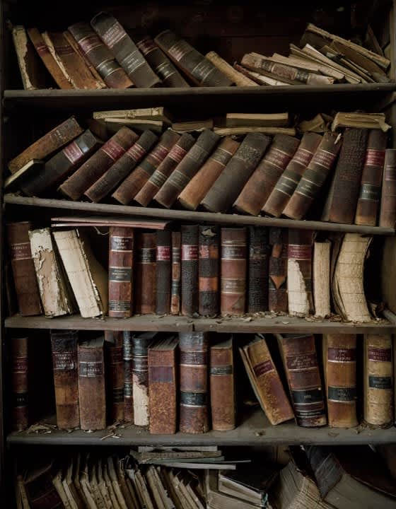Andrew Moore, Attic Library, 2016