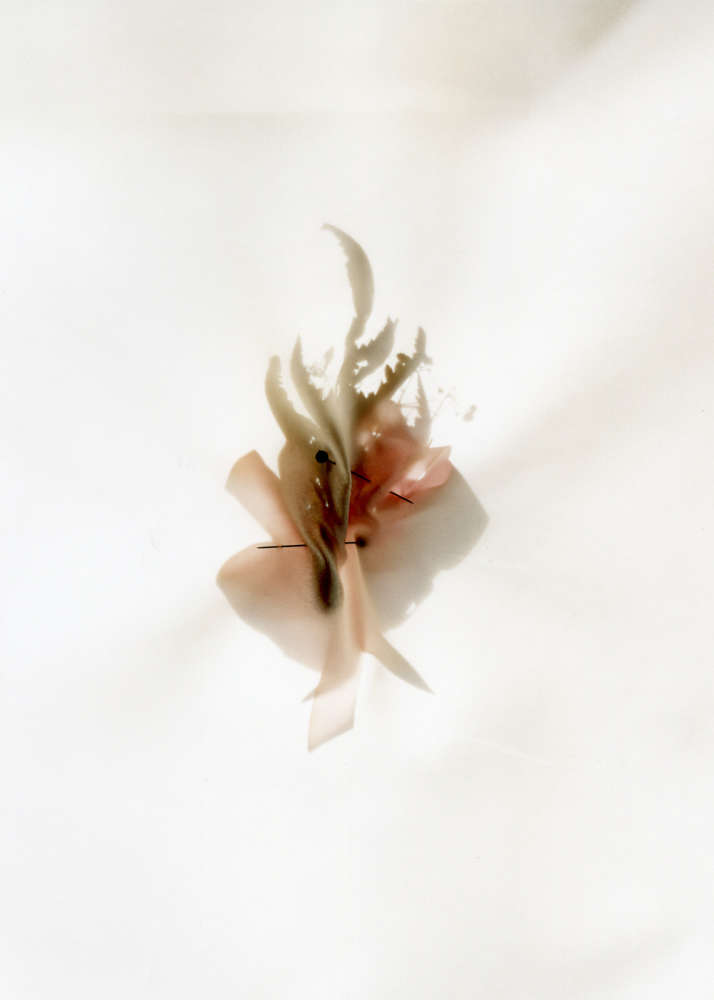 Angela West, Eighth Grade Dance (May 1985), 2005