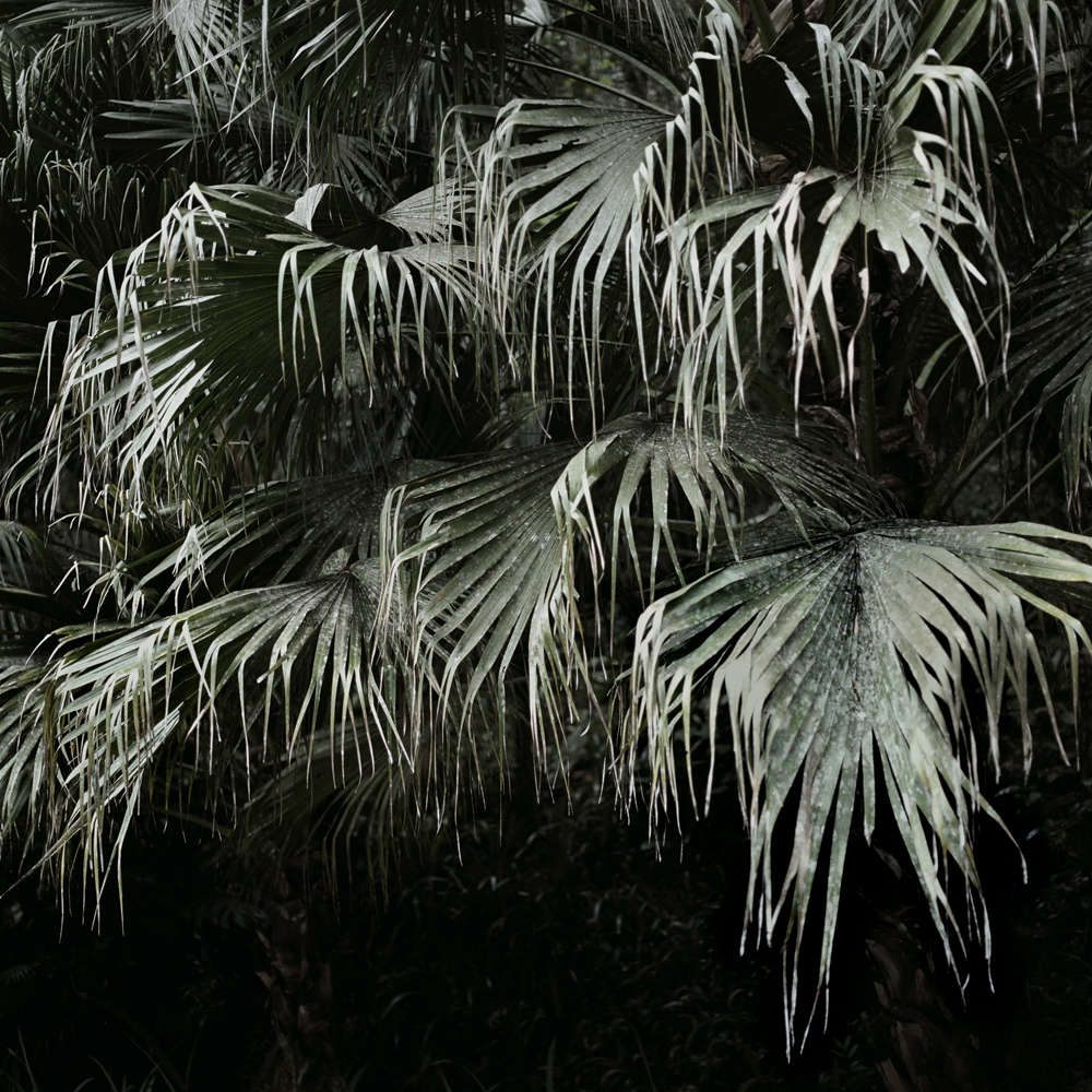 Mona Kuhn, Winter, 2009