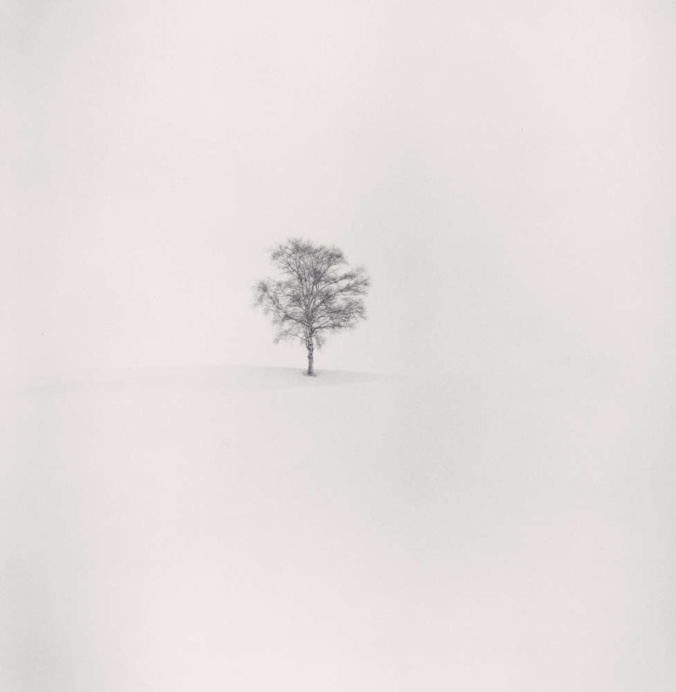 Michael Kenna, Field of Snow, Biei, Hokkaido, Japan, 2004