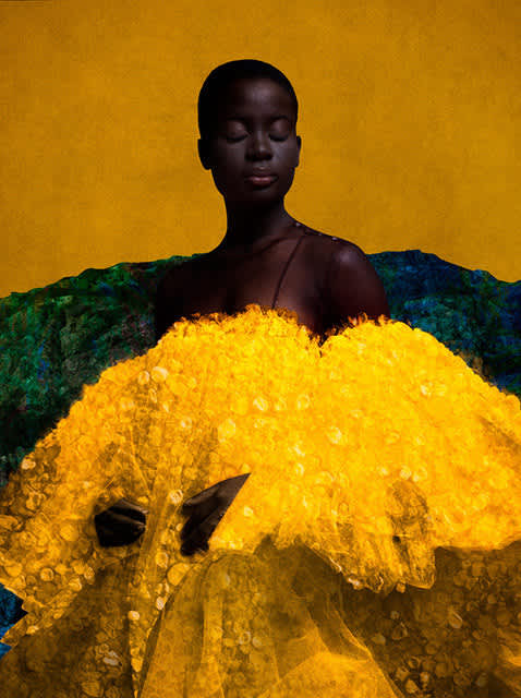 Cooper & Gorfer, The Third Roseline, 2025