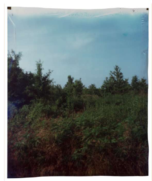 John Chiara, County Line at Rena Lara, 2015