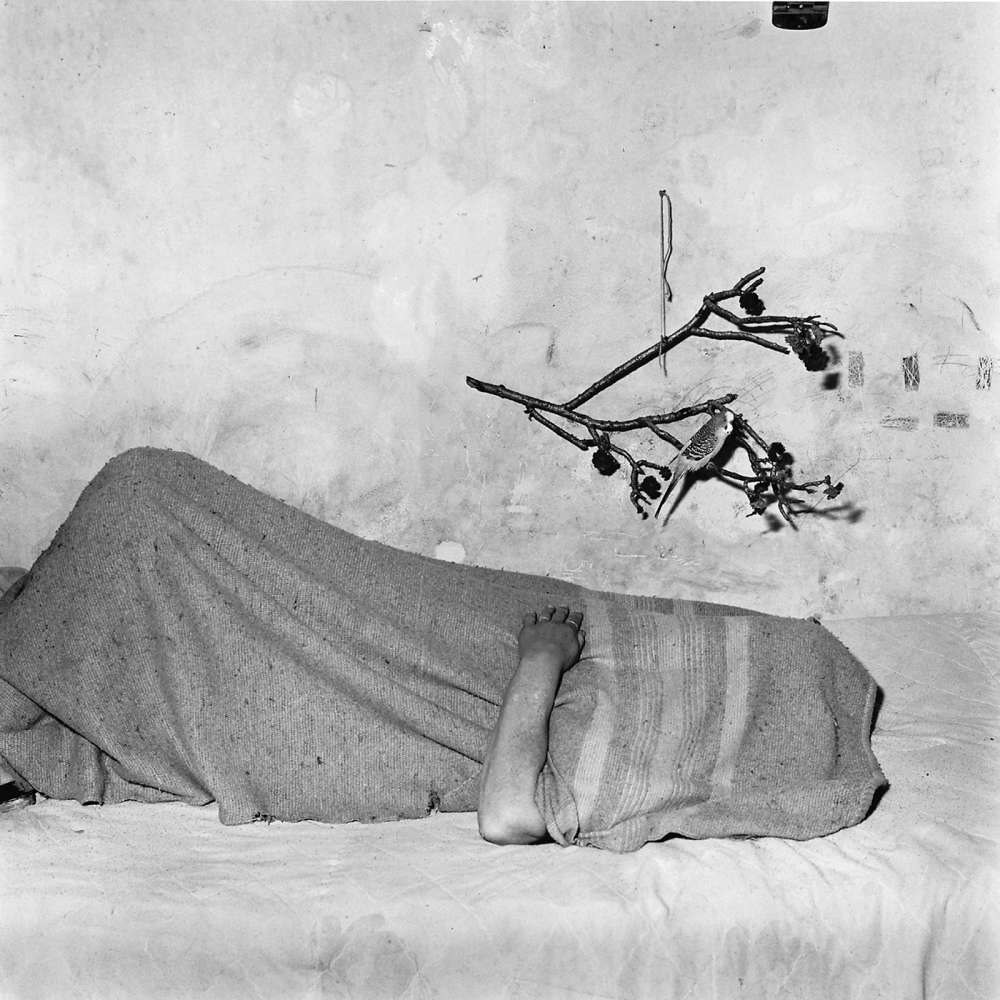 Roger Ballen, Early Morning, 2001