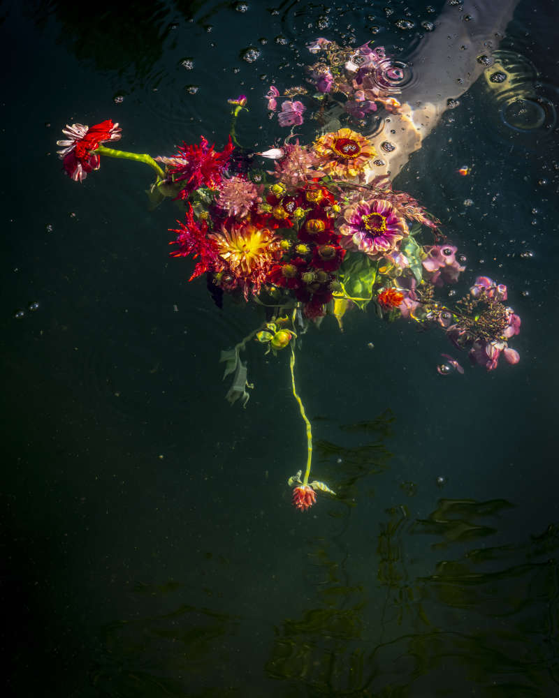 Cig Harvey, Pink is a Touch, Red is a Stare, St George, Maine, 2019