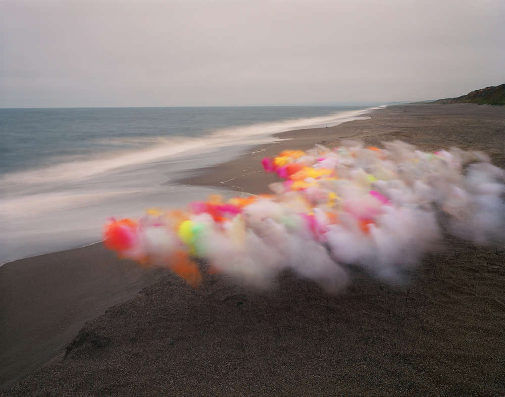 Thomas Jackson, Tulle no. 14, Point Reyes National Seashore, California, 2020