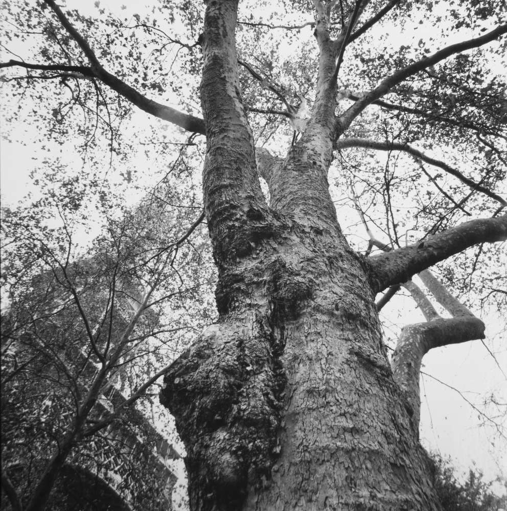 Bruce Davidson, Paris, France, 7th arrondissment. The Eiffel Tower, 2006