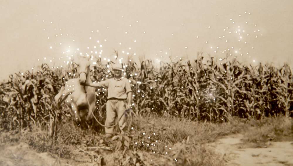 Amy Friend, It was a good one, the horse I mean