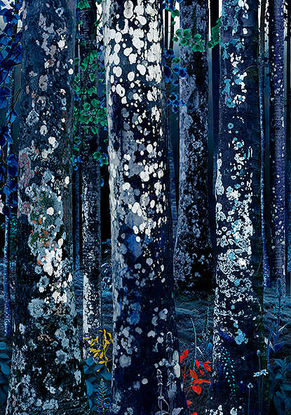 Ruud van Empel, Collage #4, 2017