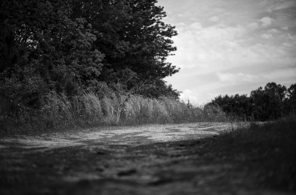 Sheila Pree Bright, Behold the Land, Untitled 6, 2021