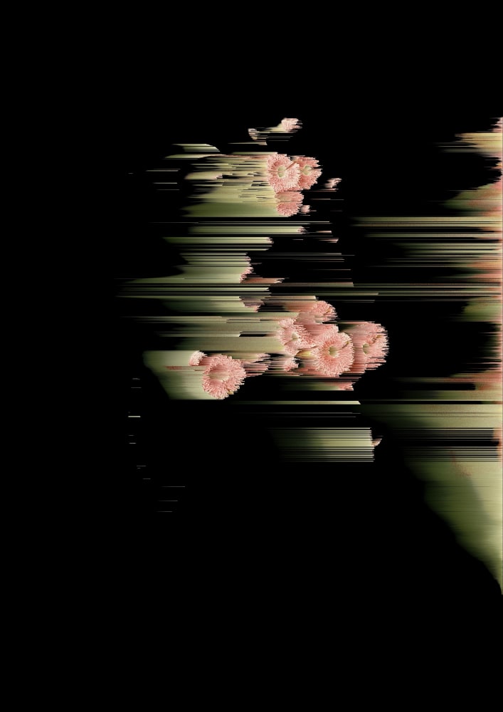 Andrea Wolf, L731846, 2025