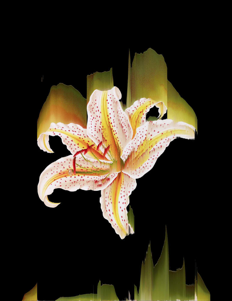 Andrea Wolf, L463218, 2025