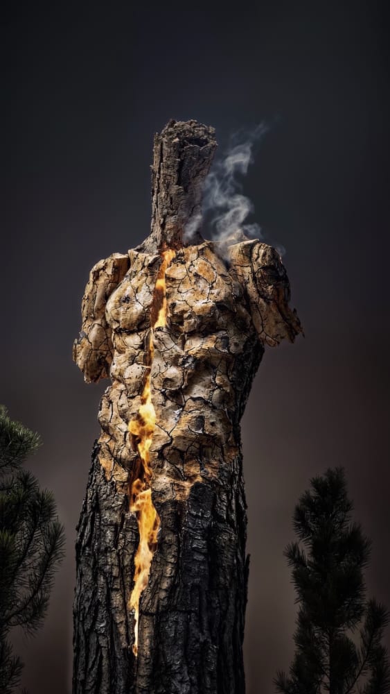 Roy Adin, Burn , 2024