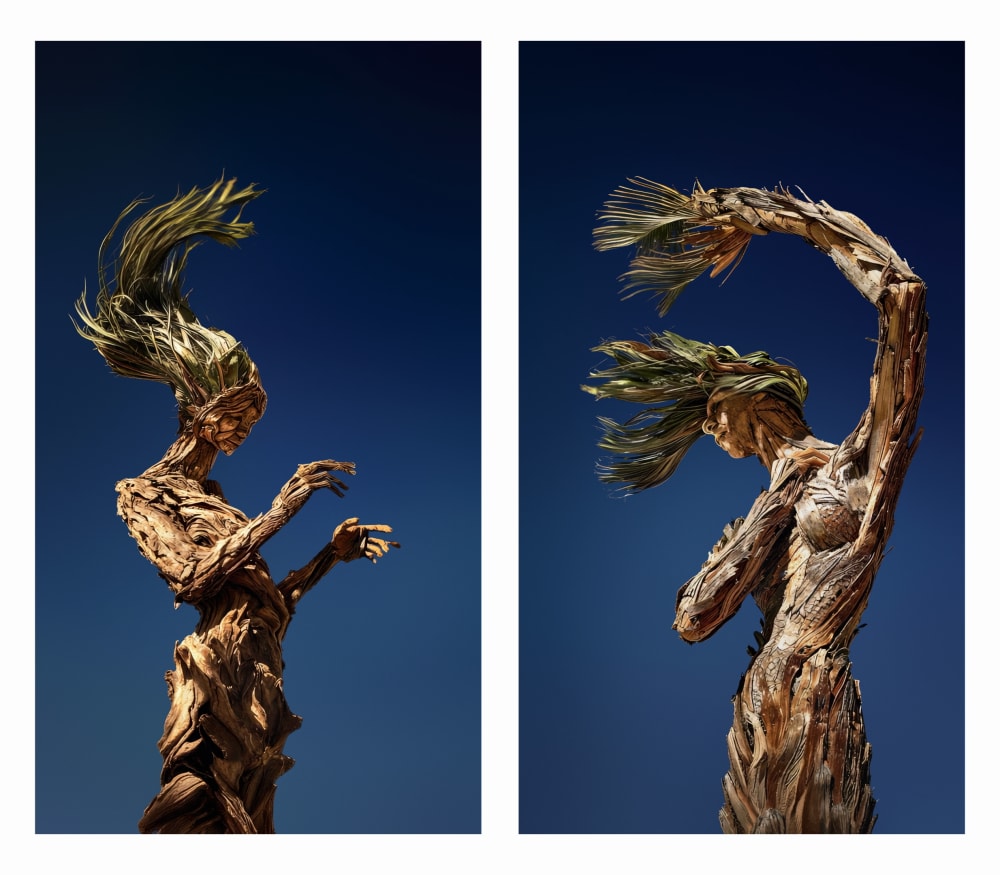 Roy Adin, Winds of Change, 2024