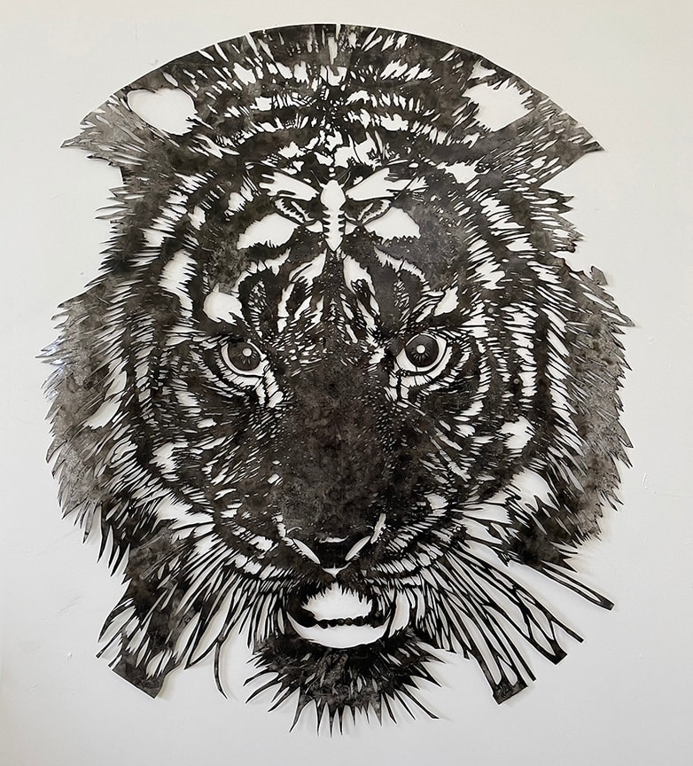 Steven Spazuk, Tiger