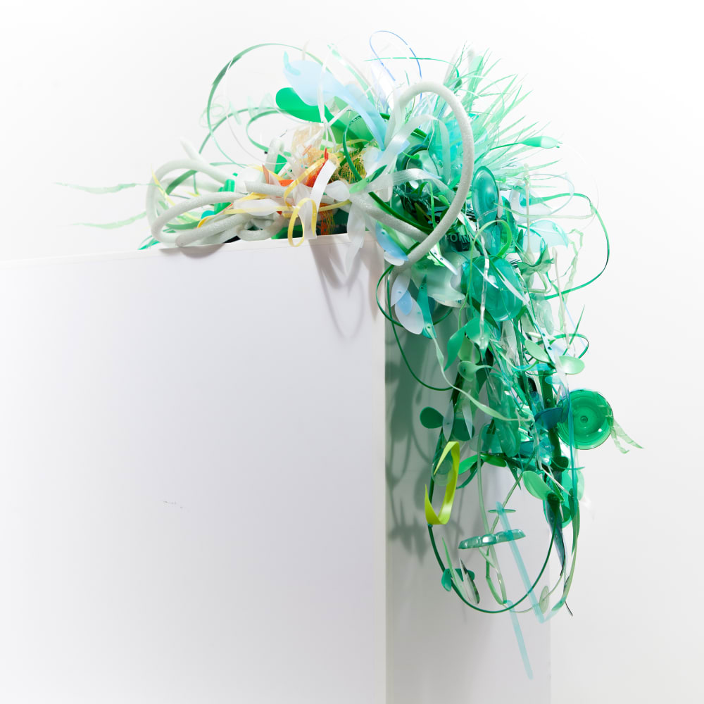 Aurora Robson, Agneses, 2020