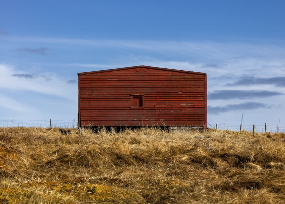 Ned Pratt, Out Building, St. Shots, 2017
