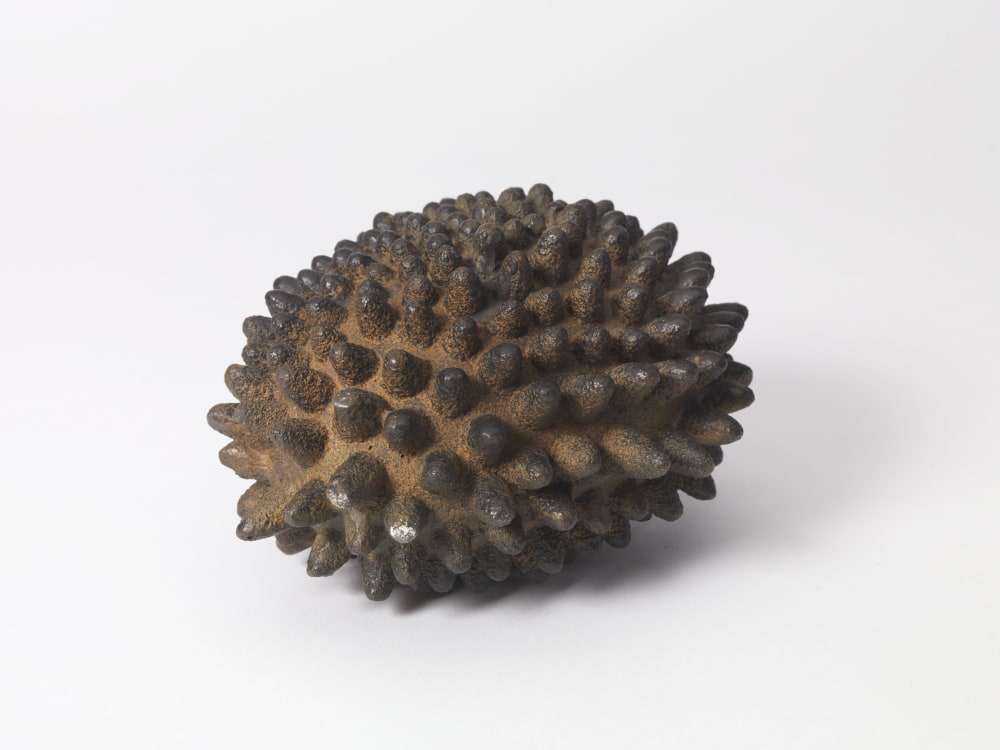 Peter Randall-Page, Ironed Out I, 2009