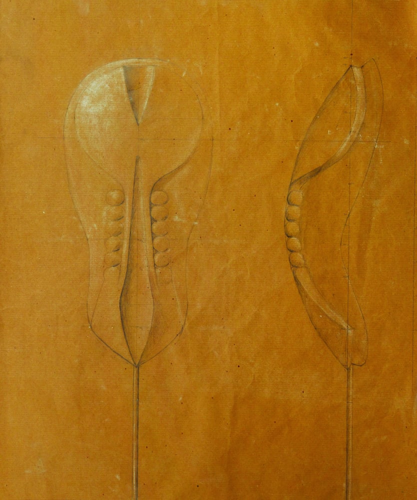 Carnegie Stage 10, 2012