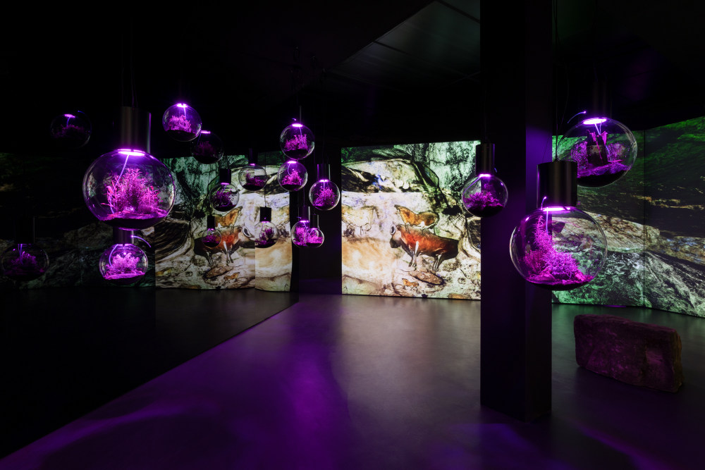 Hito Steyerl: Contemporary Cave Art The Brooklyn Rail