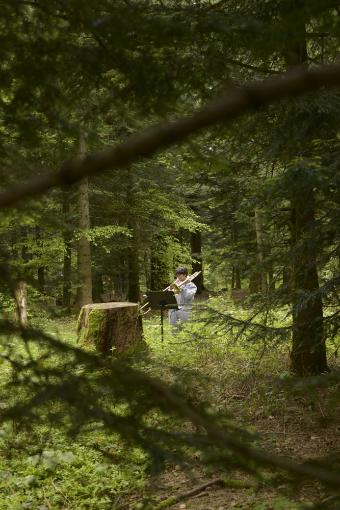 Shared Landscapes - Berliner Festspiele. Music and Mosquitoes Nachtkritik