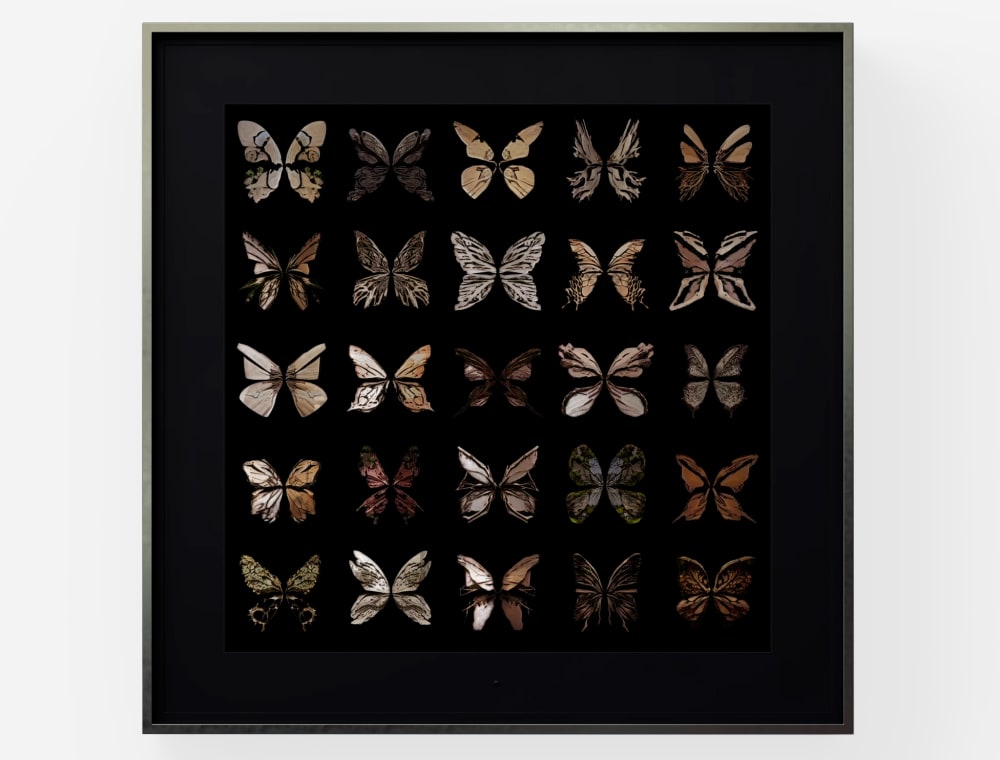 Dominic Harris Metamorphosis: Elements