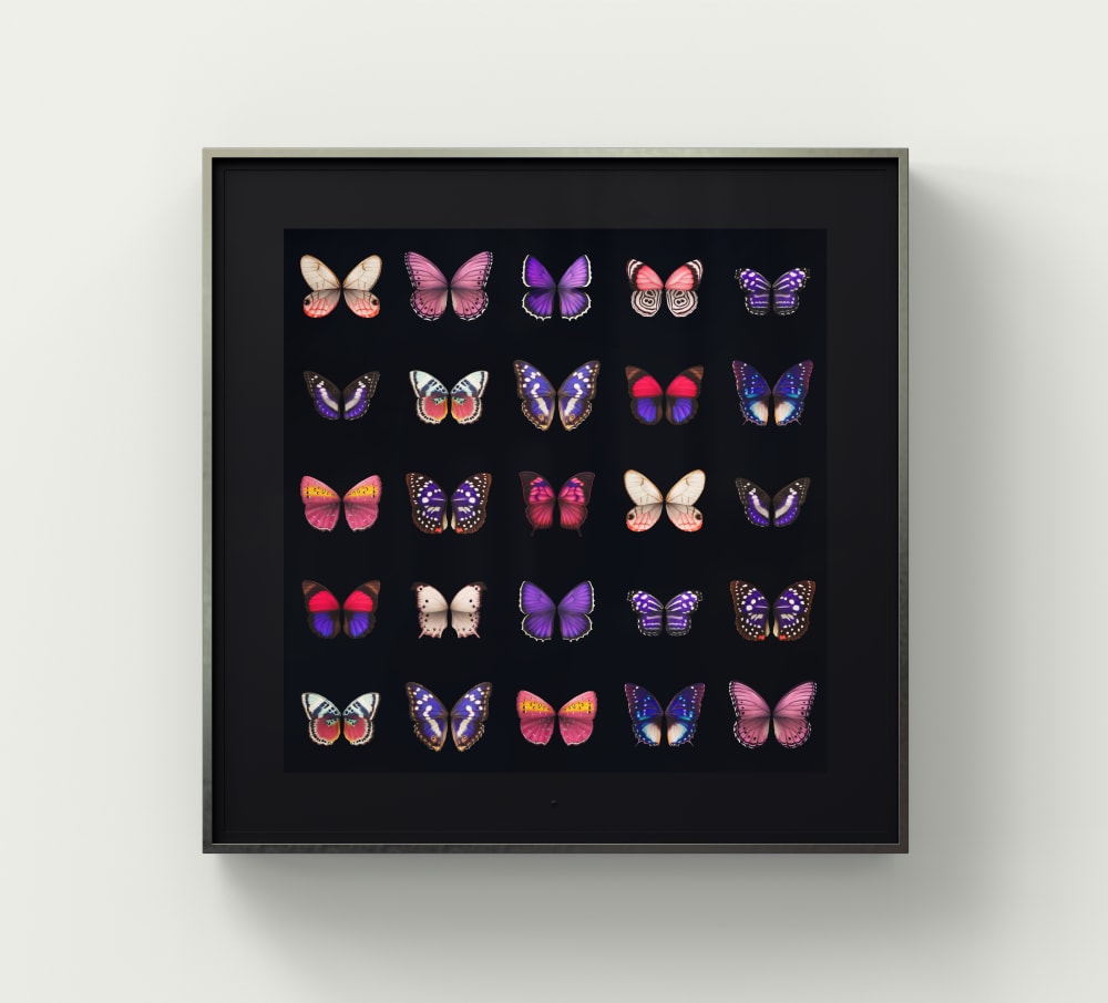Dominic Harris, Metamorphosis, Four Seasons, 2020
