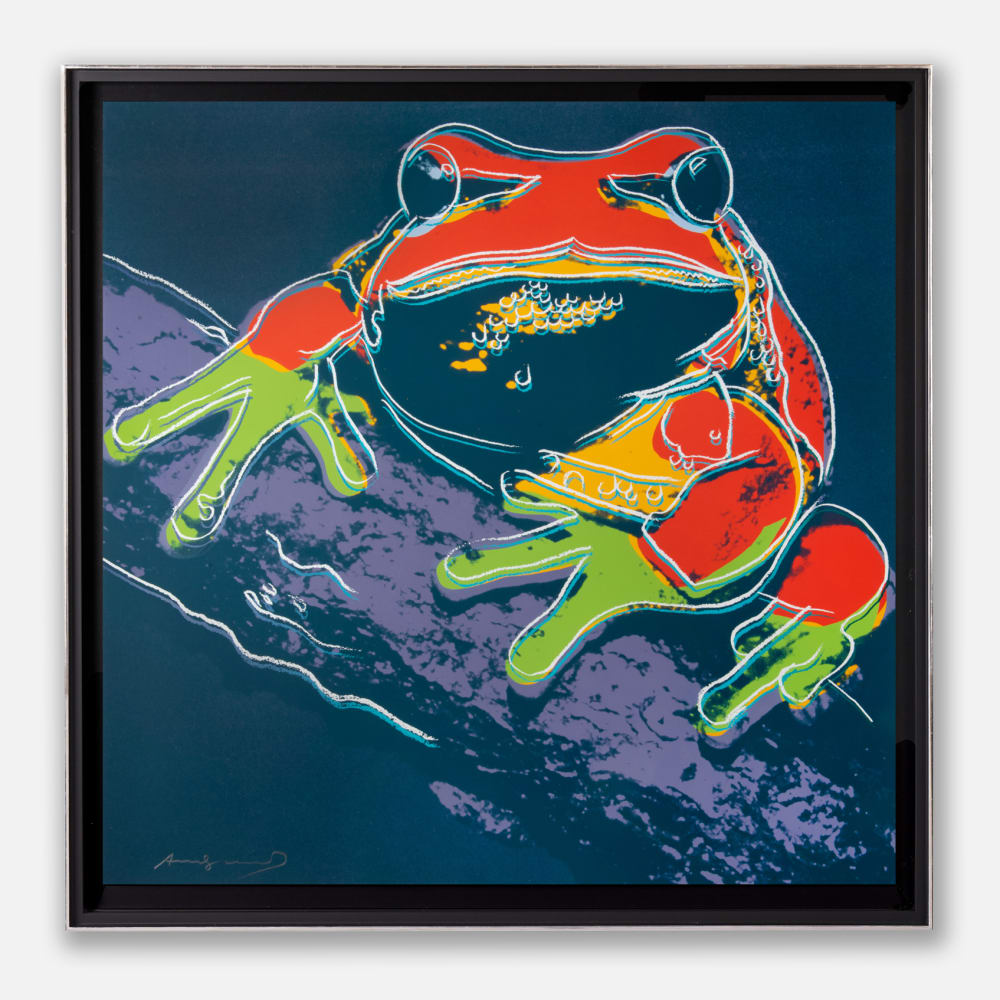 Andy Warhol Pine Barrens Tree Frog