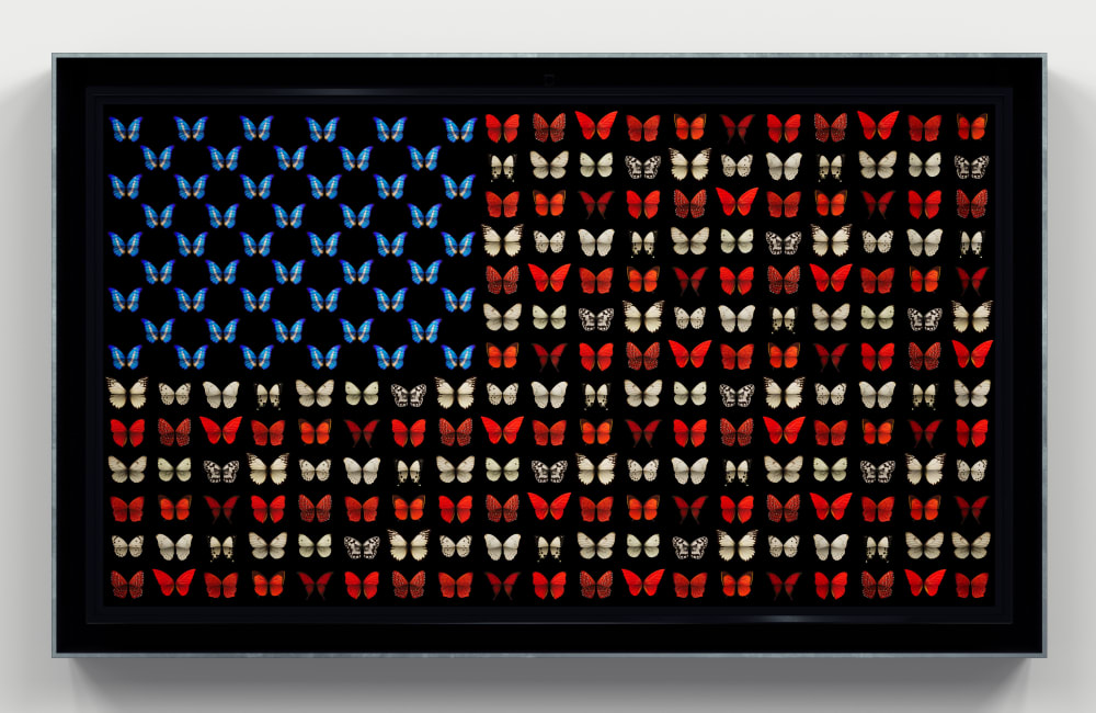 Dominic Harris, World Stage, US, 2020