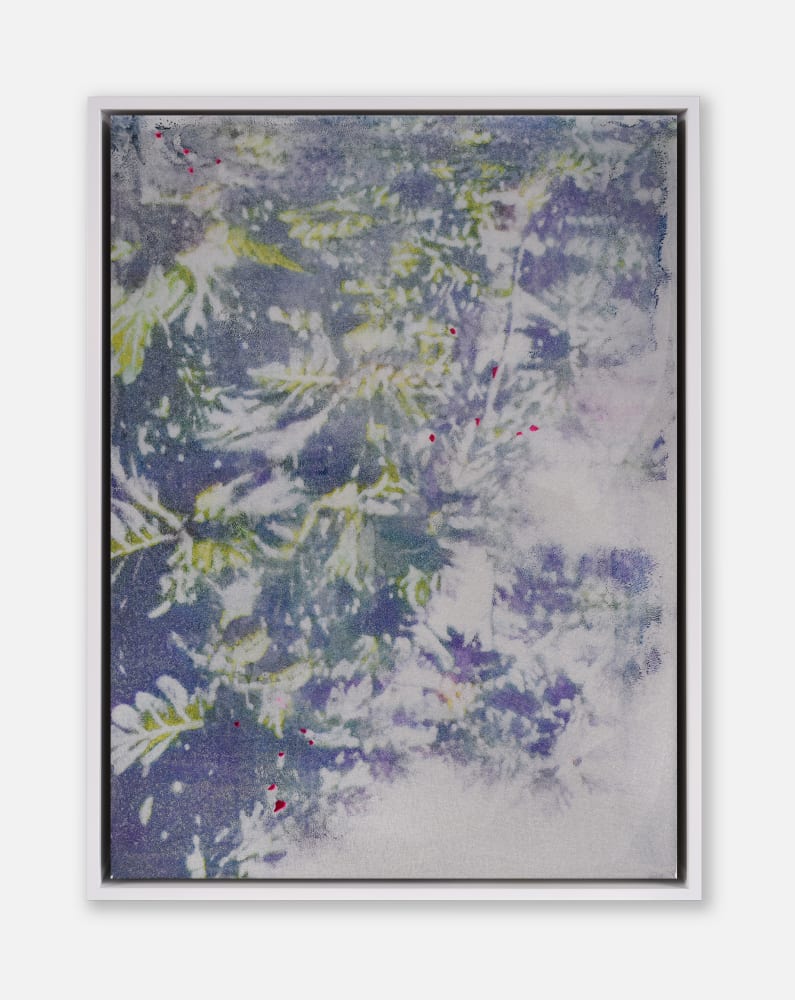 Ernesto Cánovas, Botanic 16, 2017