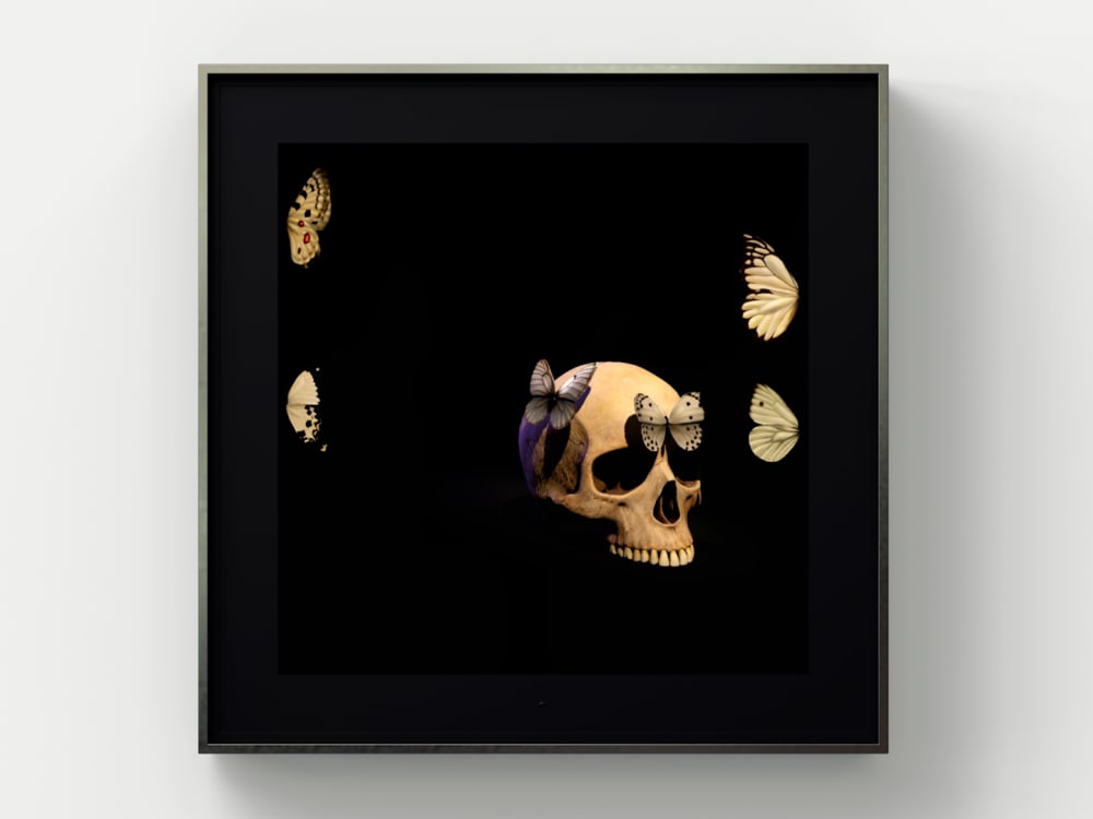 Dominic Harris The Essence of Time