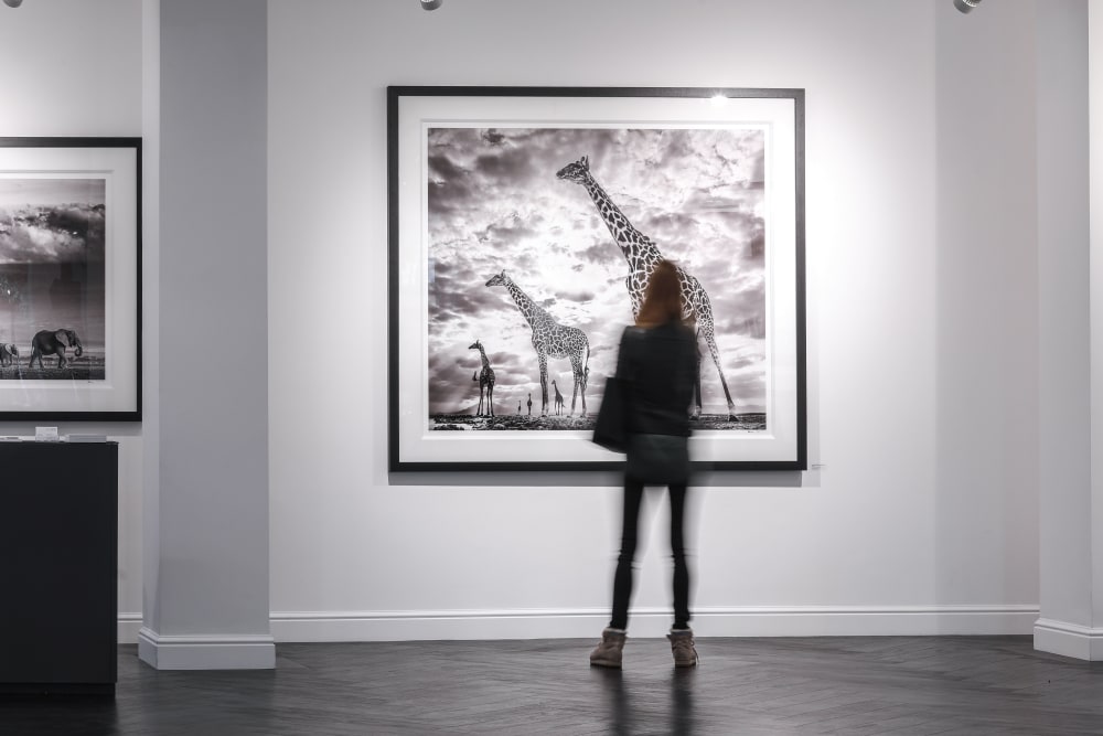 Westbourne Grove Maddox Gallery