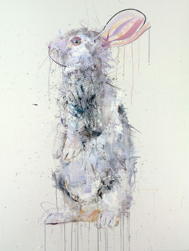dave white rabbit