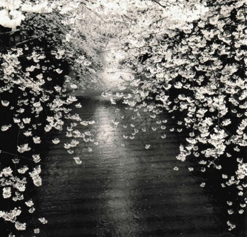 Masao Yamamoto