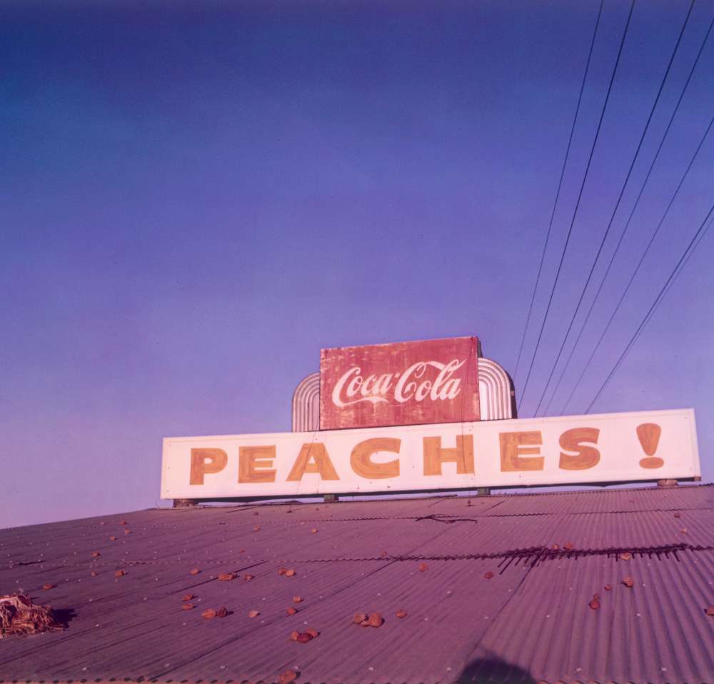William Eggleston - Freddy's Nightmare