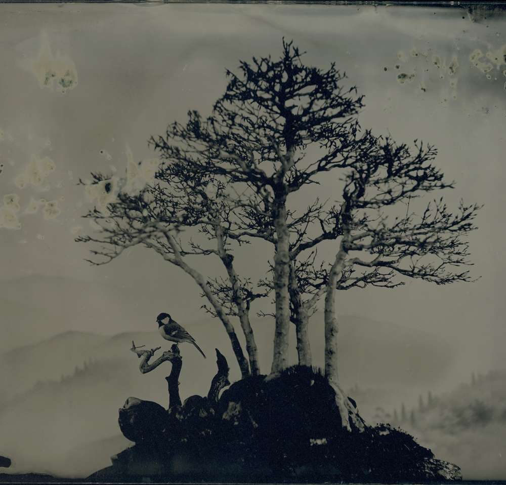 Yamamoto Masao