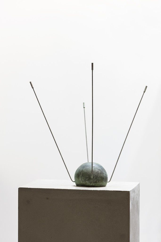 Strayed Sputnik