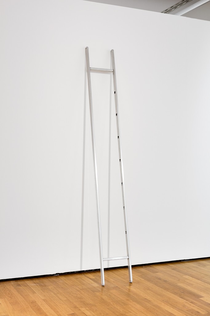 Ladder