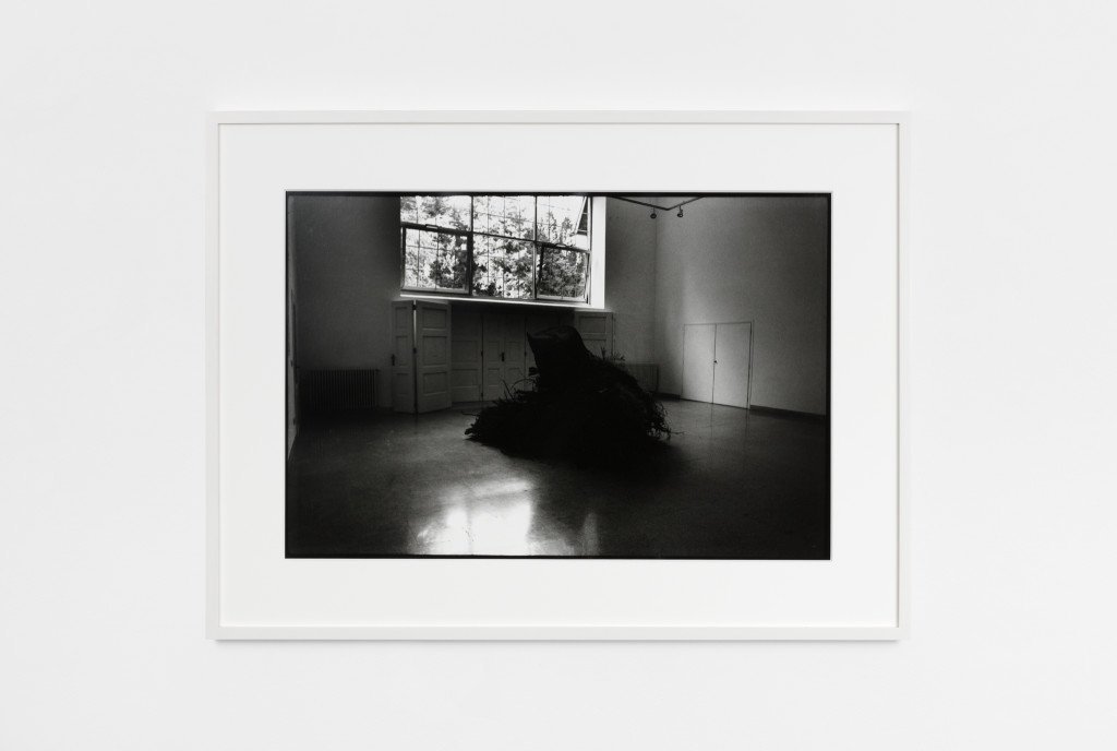 Ceppo Sradicato (series of black and white photographs)