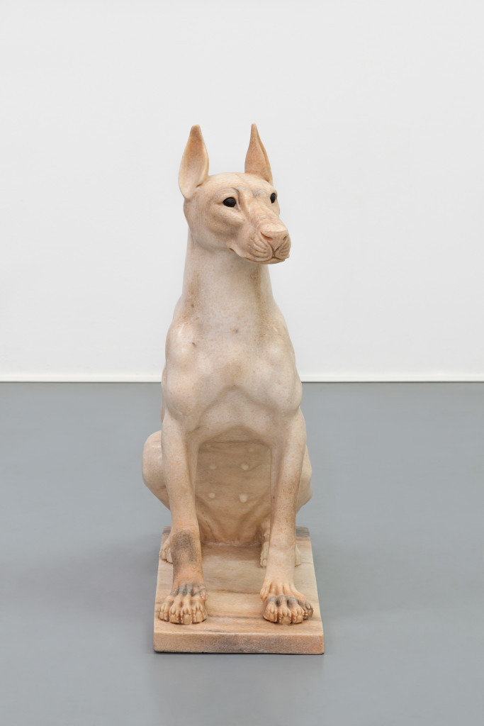 Girl Dog (Hybrid)