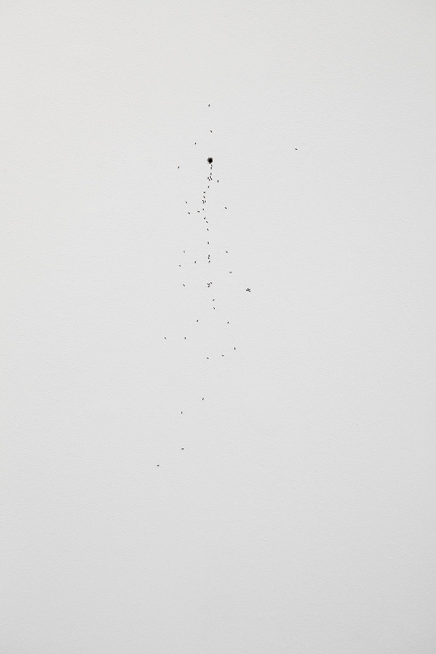 Umwelt
