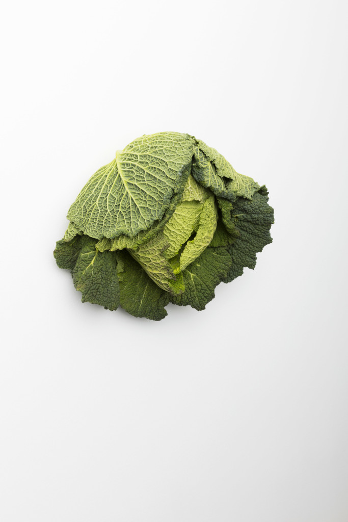 Savoy Cabbage / Wirsing