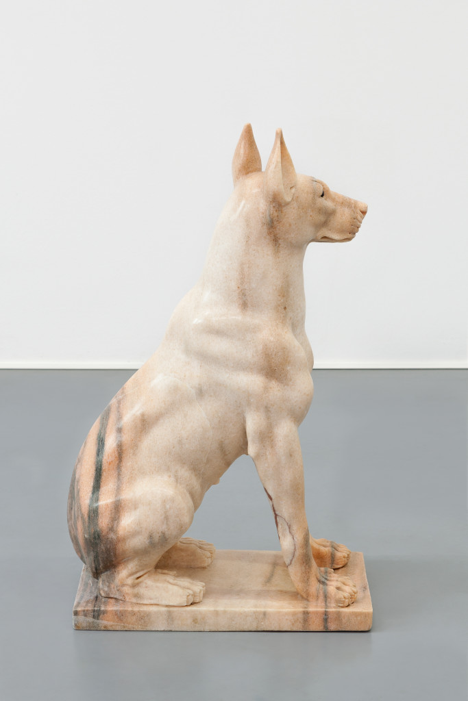Girl Dog (Hybrid)