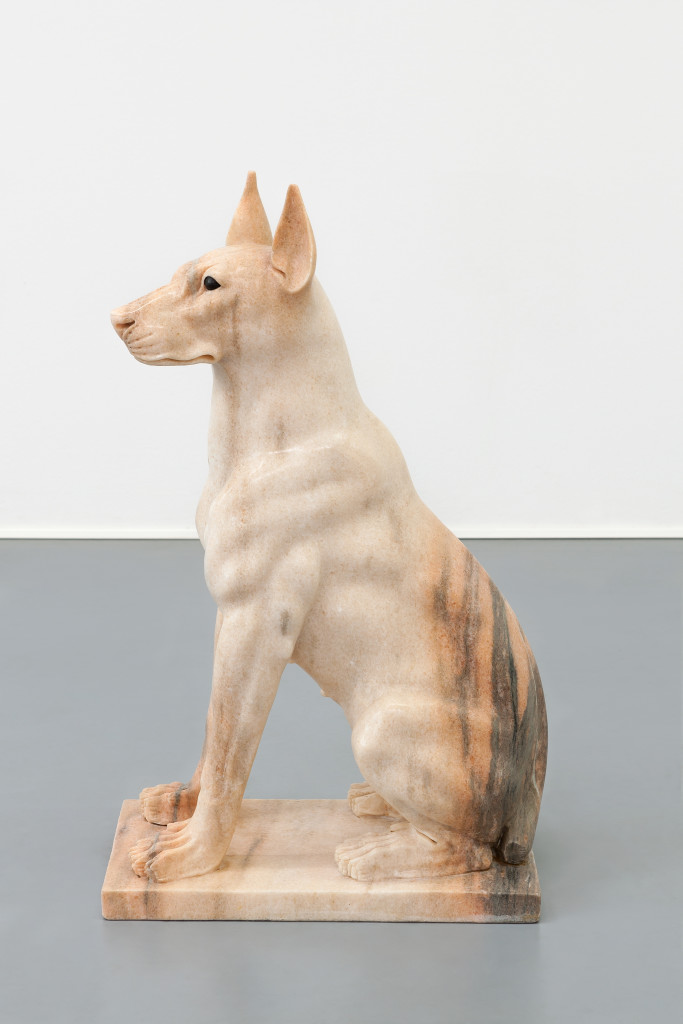 Girl Dog (Hybrid)
