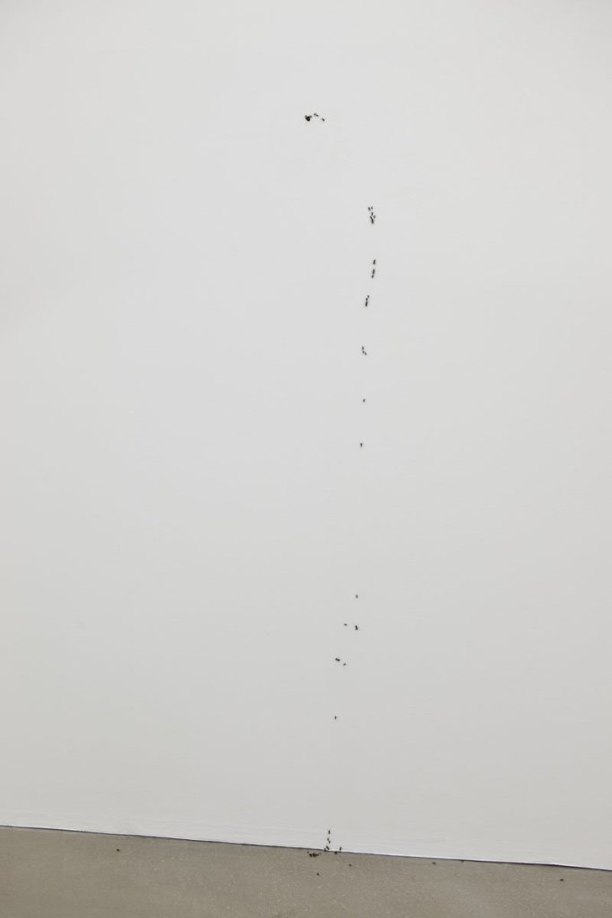 Umwelt