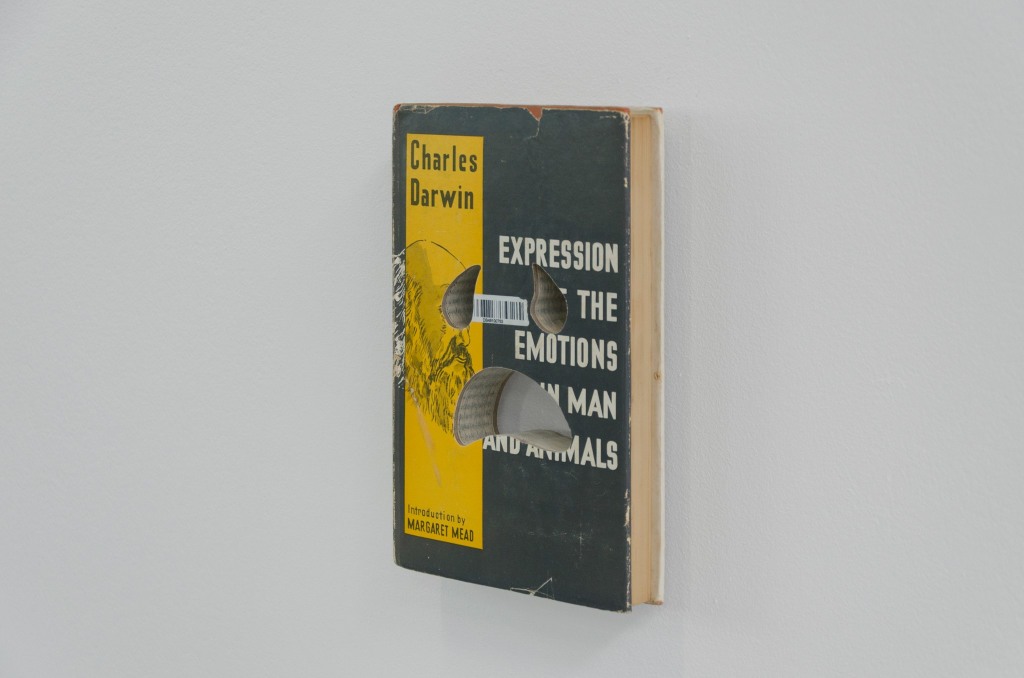 Holes (in Expression)