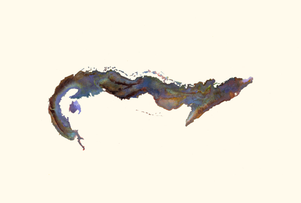 Untitled (Gymnothorax Afer/Cuba)