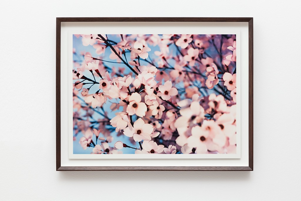 Blossom I