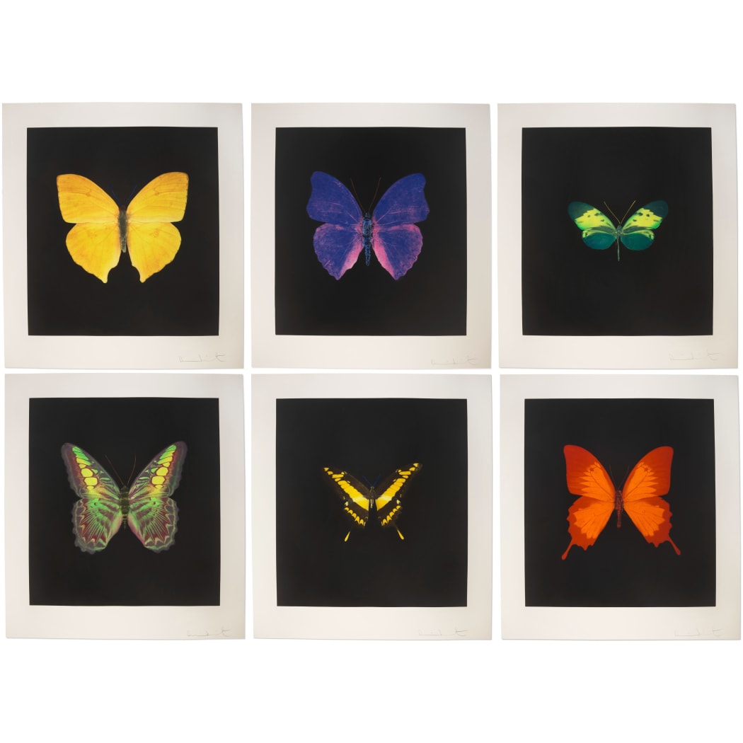 Why collect Damien Hirst